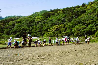DSC08540.JPG