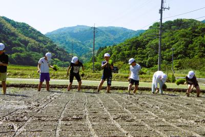 DSC08550.JPG