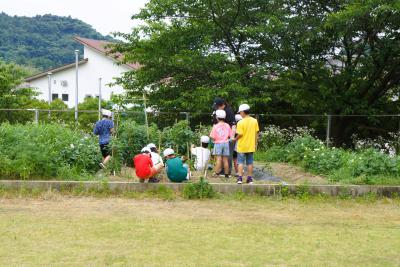 DSC09402.JPG