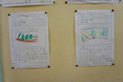 DSC09681.JPG
