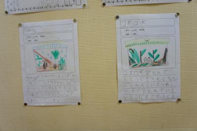 DSC09682.JPG