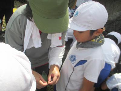 IMG_3511.JPG