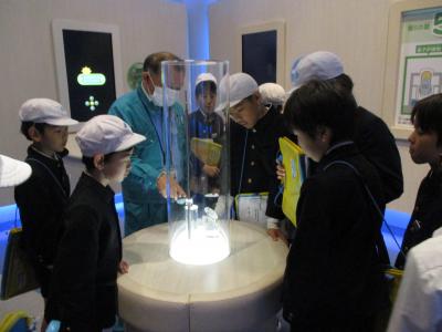 IMG_3682.JPG