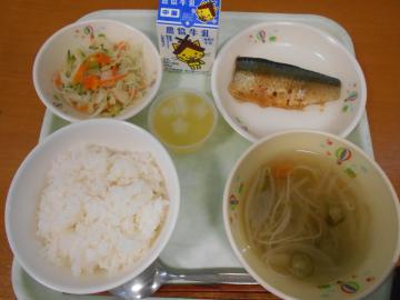 DSCN0459.JPG