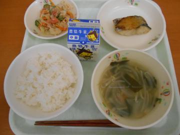 DSCN0479.JPG