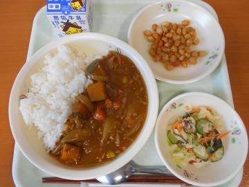 DSCN0598.JPG