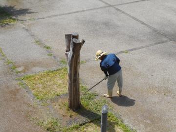 DSCN2395.JPG
