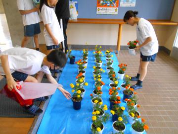 DSCN2466.JPG