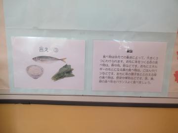 IMG_1505.JPG