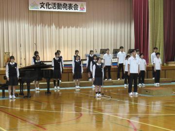 IMG_2590.JPG