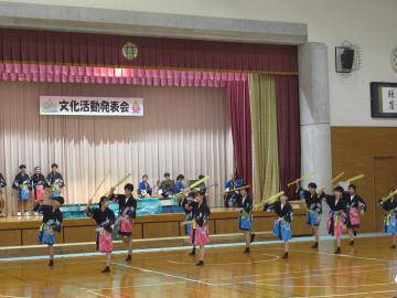 IMG_2671.JPG