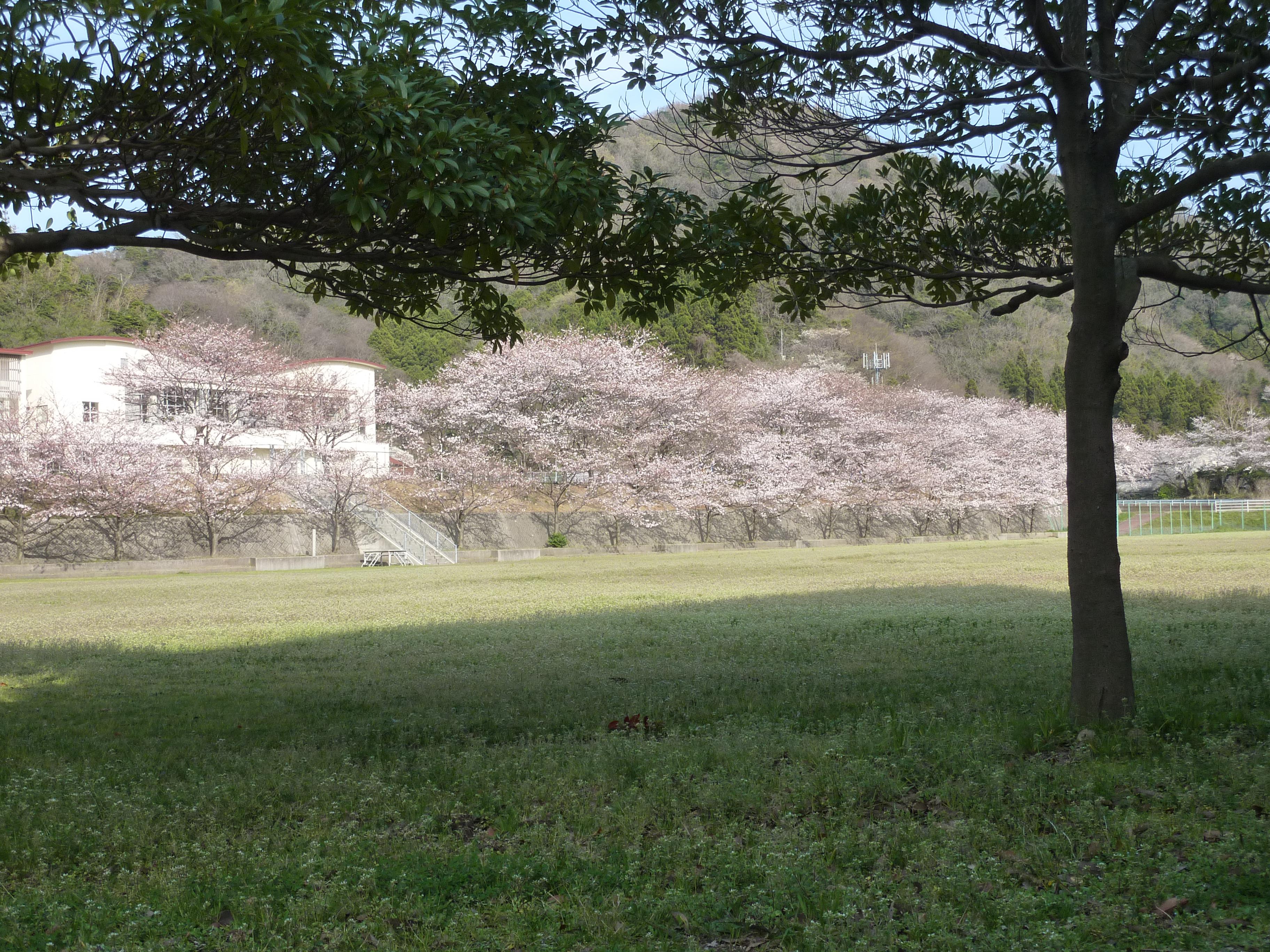 P1100461.JPG