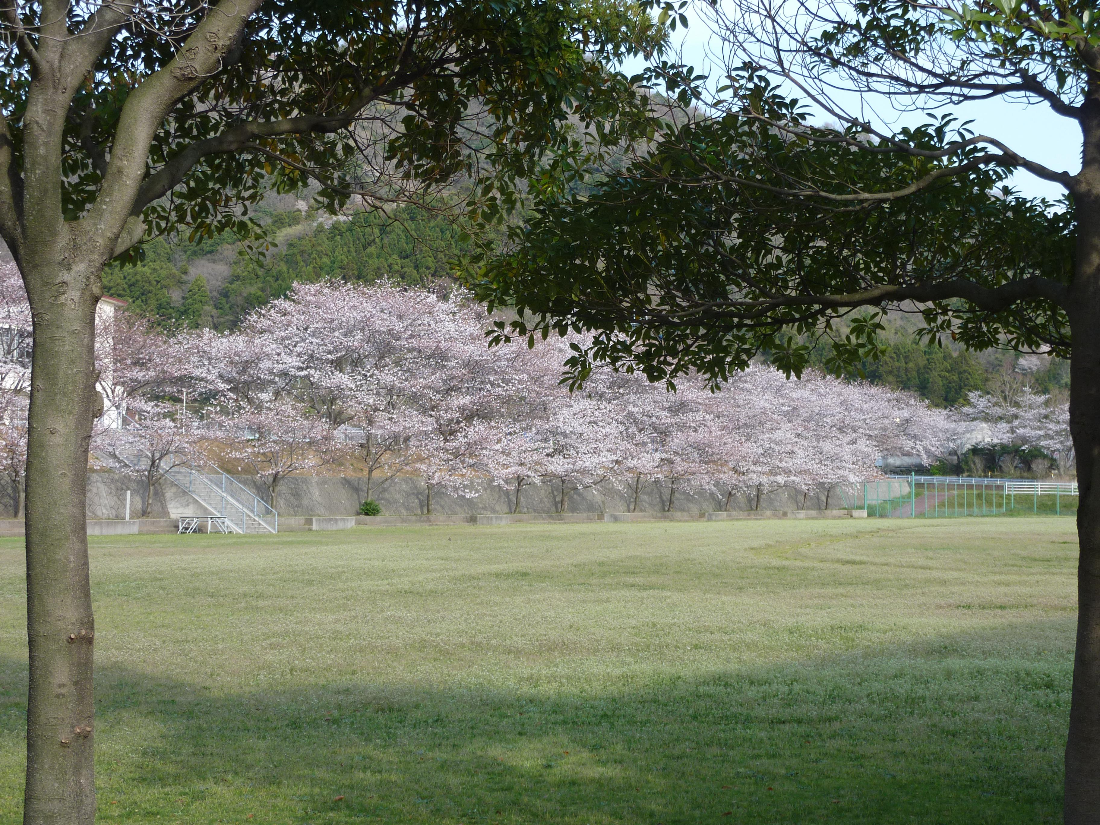 P1100463.JPG
