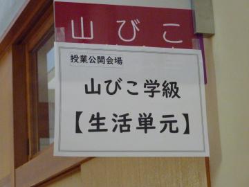 P1100925.JPG