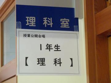 P1100930.JPG