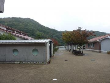 P1120847.JPG