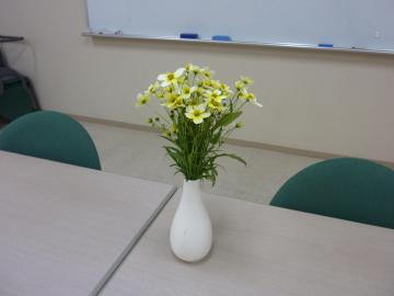 P1130050.JPG