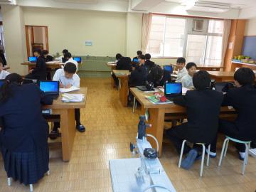 P1150083.JPG