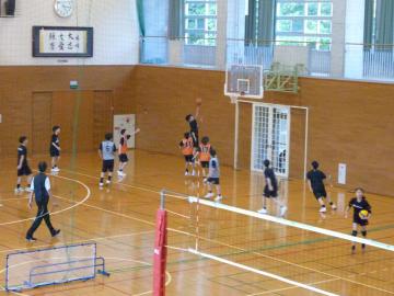P1150463.JPG
