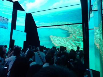 P1160355.JPG