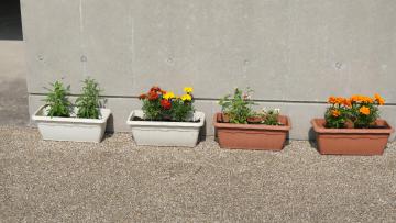 DSCF2638.JPG