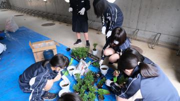 DSCF2735.JPG