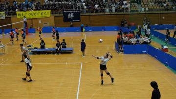 DSCF3544.JPG