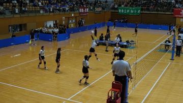 DSCF3595.JPG