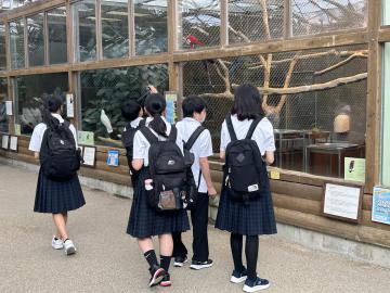 image_50433025.JPG