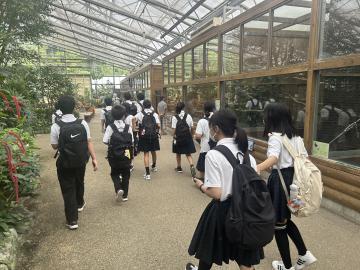 image_50455809.JPG