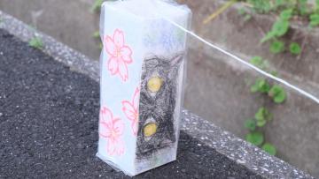DSCF5092.JPG