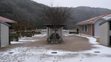 DSCF5395.JPG