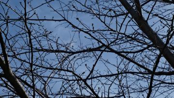 DSCF6003.JPG