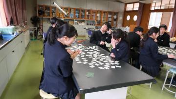 DSCF6053.JPG