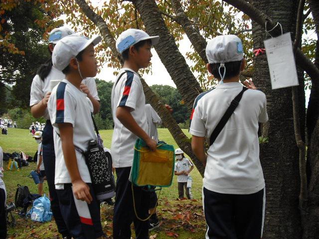 DSCF0003.JPG