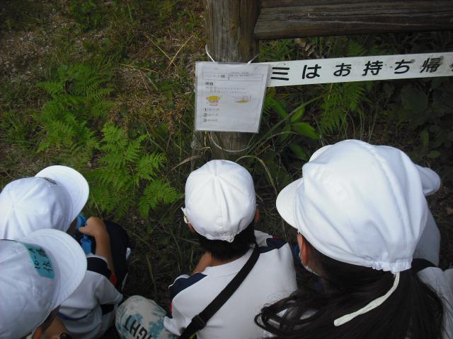DSCF0017.JPG