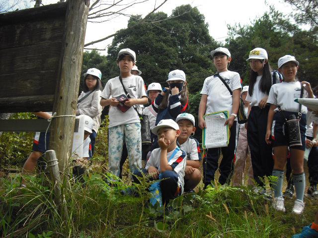 DSCF0019.JPG