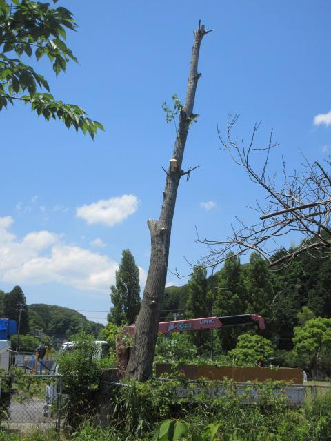 IMG_0007.JPG