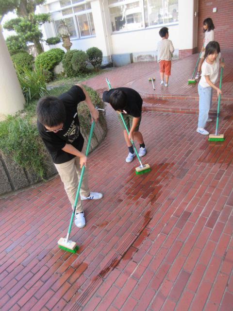 IMG_3508.JPG