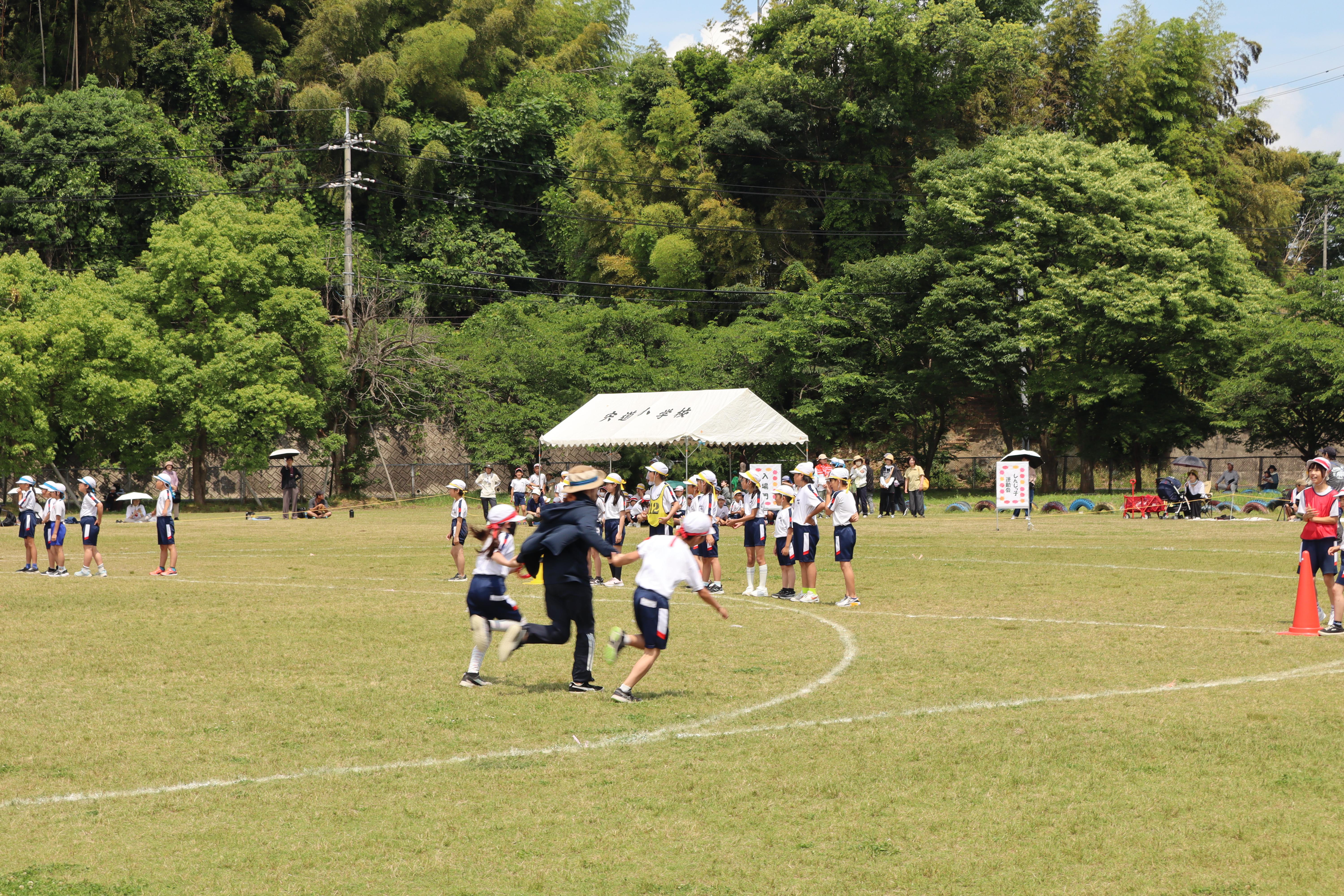 IMG_3767.JPG