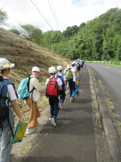 IMG_3785.png