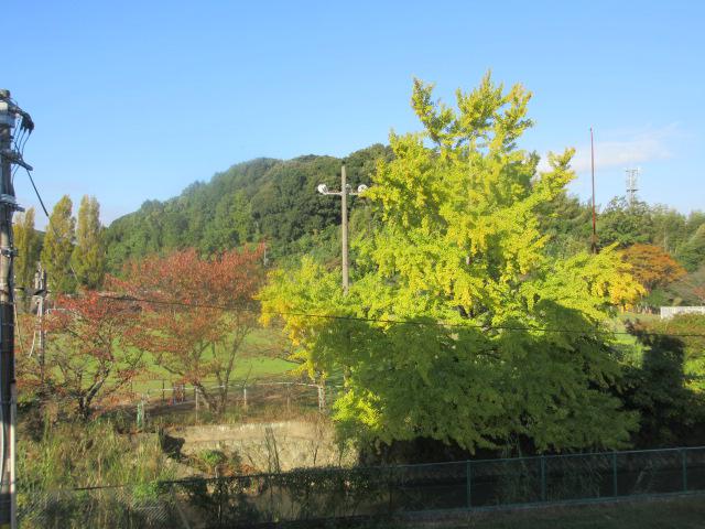 IMG_4803.JPG