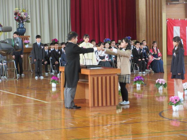 IMG_8446.JPG