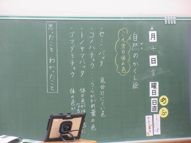 IMG_9089.JPG