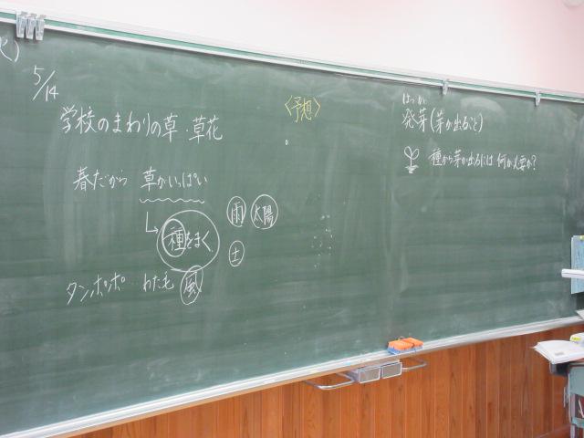 IMG_9164.JPG