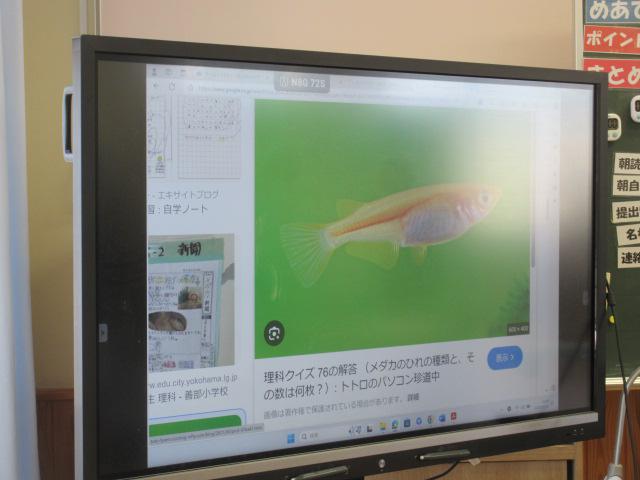 IMG_9170.JPG