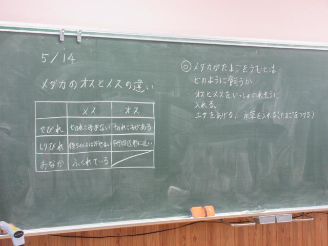 IMG_9171.JPG