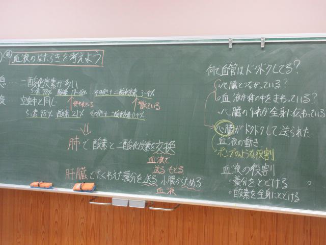IMG_9183.JPG
