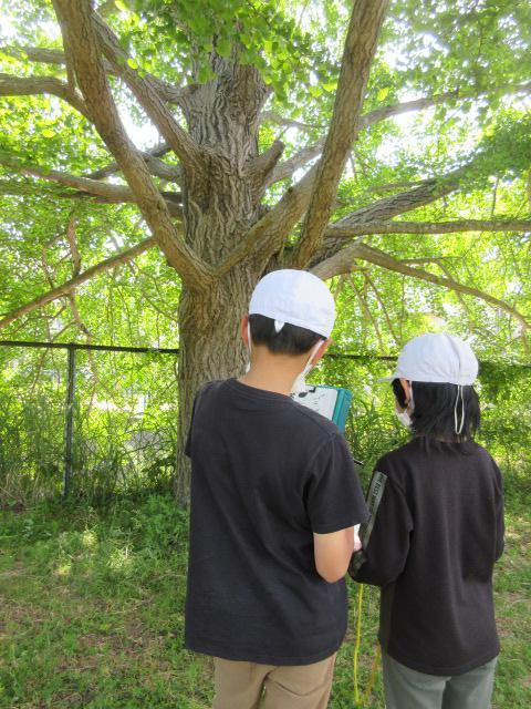 IMG_9309.JPG