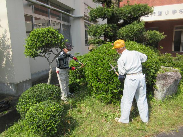IMG_9353.JPG